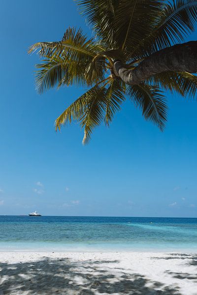 Tropical with beach in the Maldives by Michiel Dros