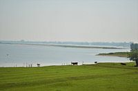 Broeierige dag langs de waal