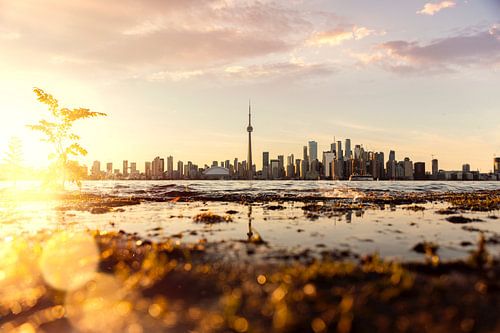 Toronto