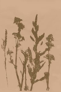 Pastel Botanicals. Printed Plant no. 3 by Dina Dankers