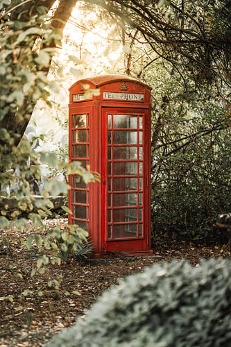 Rode Britse Telefooncel in Mystiek Bos met Zonlicht