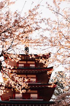 Chureito Pagoda in Japan gehuld in Sakura van Anouk Sassen