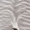 Lijnenspel in het zand van Ronald Mallant
