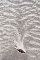 Leinen spielen im Sand