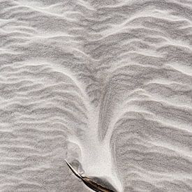 Leinen spielen im Sand von Ronald Mallant