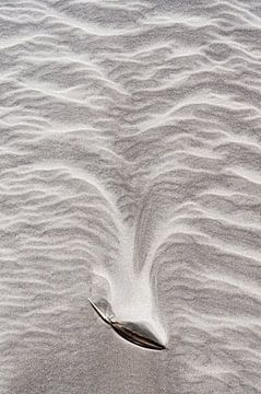 Lijnenspel in het zand van Ronald Mallant