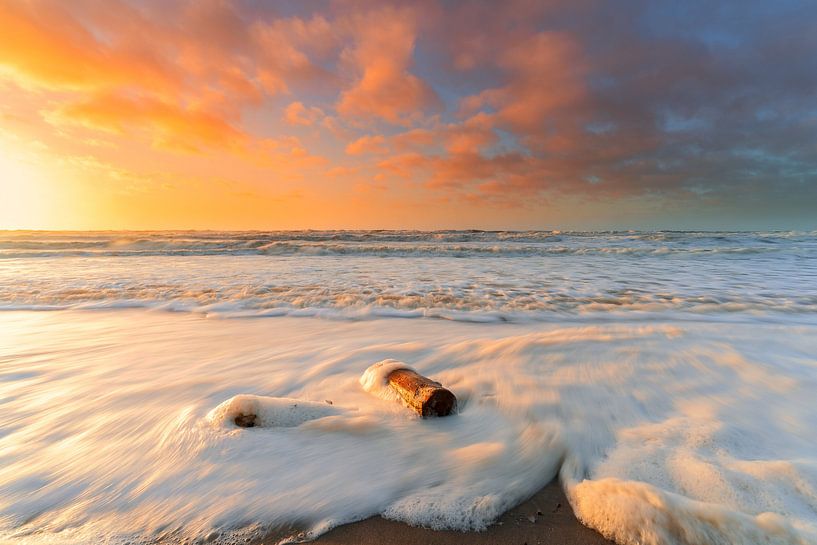 Golden surface by Björn van den Berg