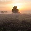 Zonsopgang boven de Heide van Peter Hooijmeijer