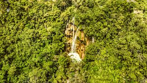 Betoverende Waterval in de Tropische Jungle van Cebu Filipijnen van Surreal Media