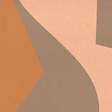 Abstracte organische en geometrische vormen nr. 2 van Dina Dankers
