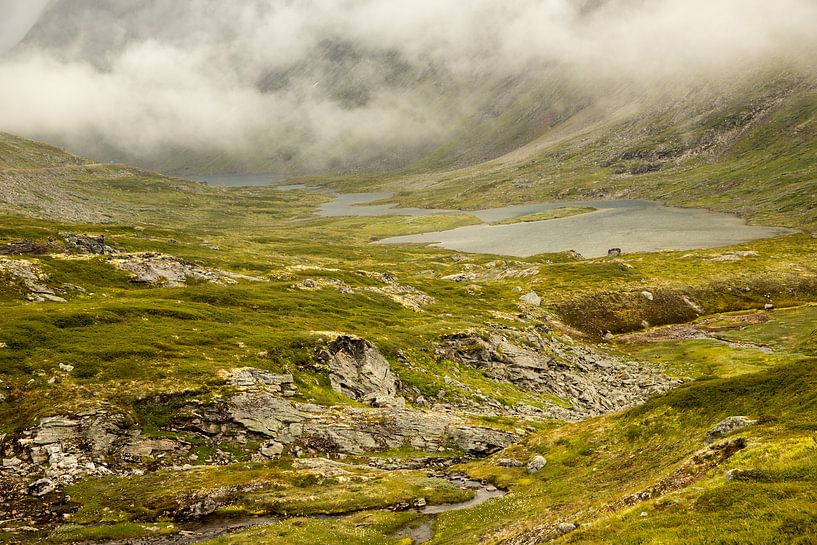 Mistige dag, een groen landschap met een meertje in Noorwegen van Karijn | Fine art Natuur en Reis Fotografie