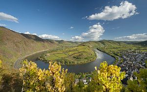 Bremm, Mosel, Deutschland