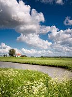 Zeeuws-Vlaanderen