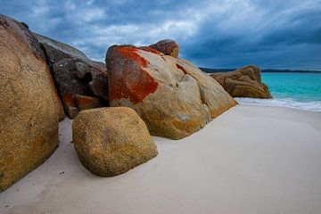 Bay of Fires IV van Ronne Vinkx