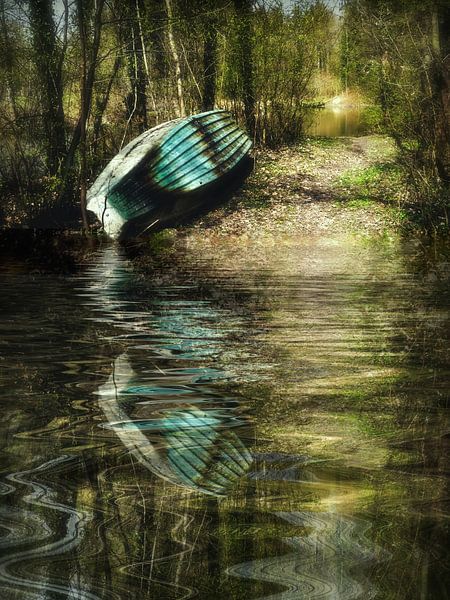Spring awakening in the floodplain forest by Christine Nöhmeier