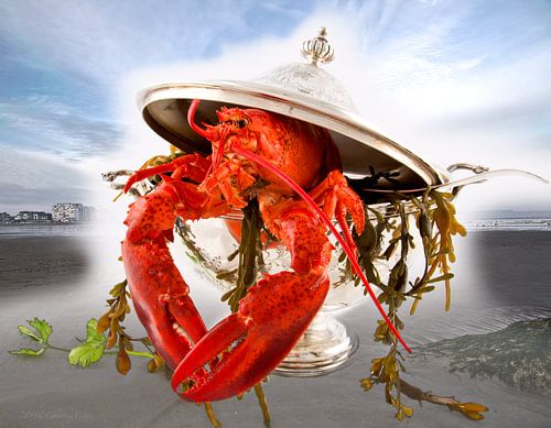 Kreeft in Terrine Knokke strand