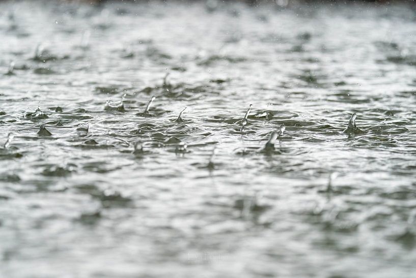 Regen van Eva Fontijn