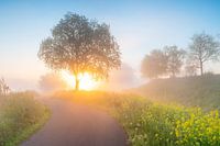 The beginning of spring