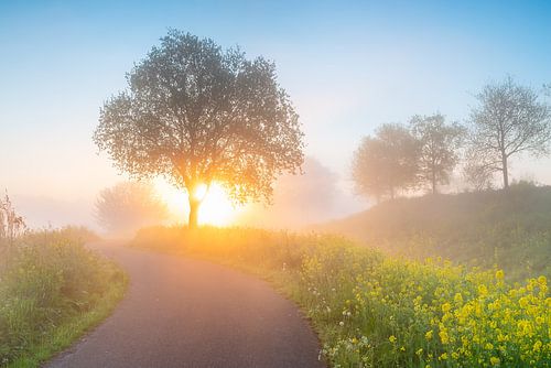 Het begin van de lente van Taede Smedes
