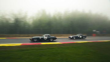 E-Type vs E-Type. van Thijs Oorschot