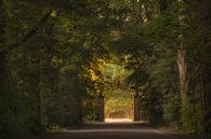 Entrance gate to the Mariënwaerdt Estate by Moetwil en van Dijk - Fotografie thumbnail