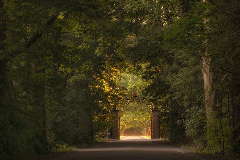 Entrance gate to the Mariënwaerdt Estate by Moetwil en van Dijk - Fotografie