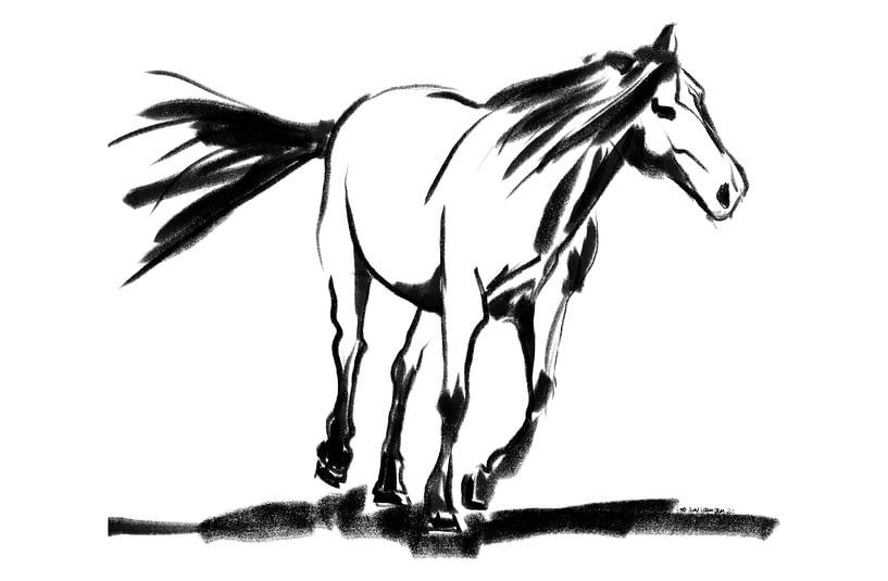 Horse Suki by Go van Kampen