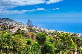 Blick auf Funchal auf der Insel Madeira, Portugal von Rico Ködder