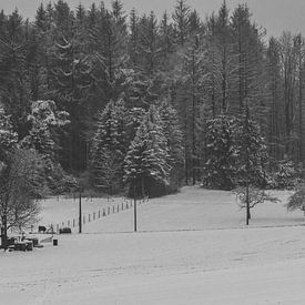 Winter in the Lusatian Mountains by Holger Spieker