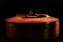 seagull by anne droogsma