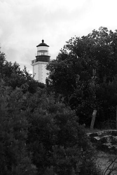Cap Camarat in Ramatuelle van Tom Vandenhende
