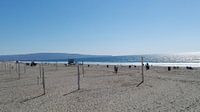 Manhattan Beach California  van Tom Sinnaeve thumbnail