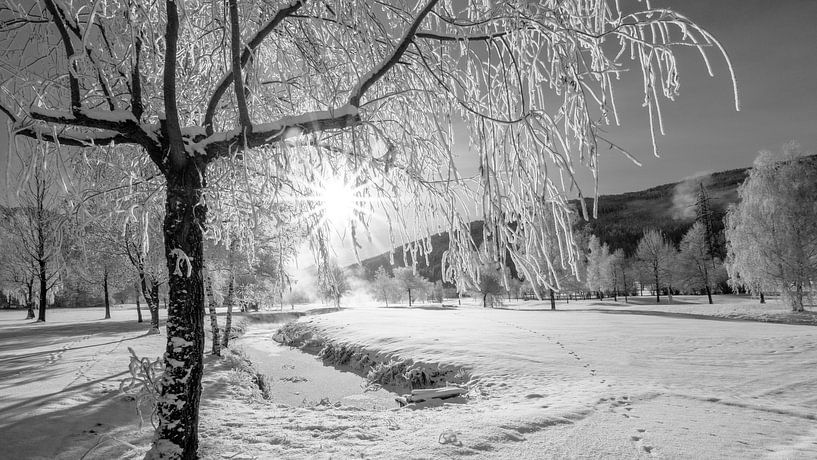 Wintervorhang am Golfplatz in SW von Christa Kramer