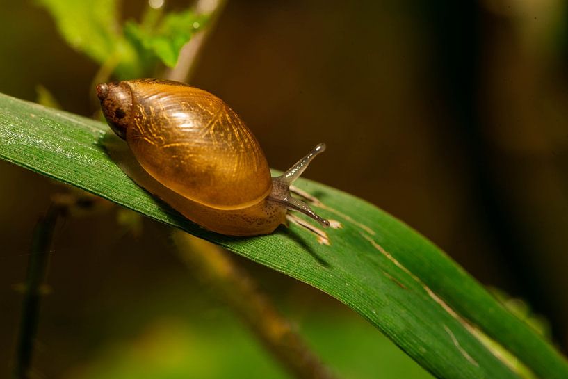 _DSC8779 by Bart Verdijk