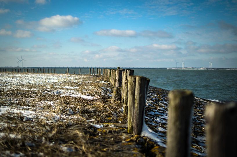 Zeeland, Kamperland von Michel Koenes