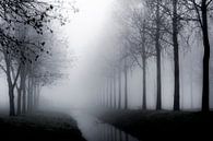 Bomen in de mist - Mistige taferelen van Rouzbeh Tahmassian thumbnail