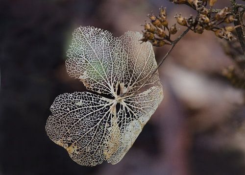 Every ending is beautiful