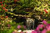 kleine Waterval met bloemen er om heen in keukenhof van Margriet Hulsker thumbnail