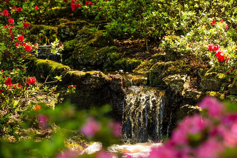 Kleiner Wasserfall mit Blumen drum herum im Keukenhof von Margriet Hulsker