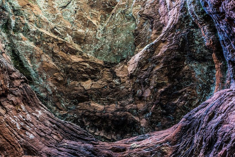 A special rock by Werner Lerooy