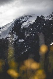 Bergidyll am Ortler von Steffen Koch