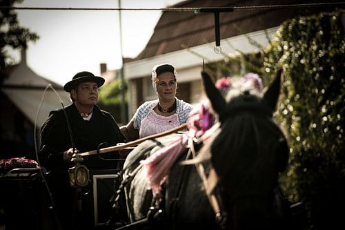 Folklore zélandais sur anne droogsma