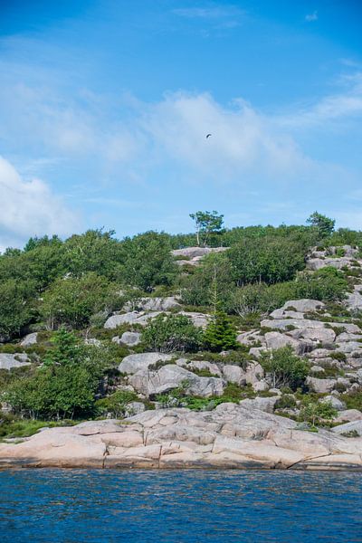 Zomers landschap in Noorwegen van Manon Verijdt