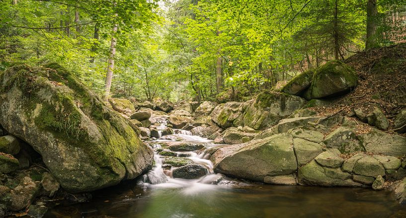 Romantischer Bach im Harz Nationalpark von Tobias Luxberg