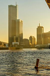 Die Neue Maas in der goldenen Stunde
