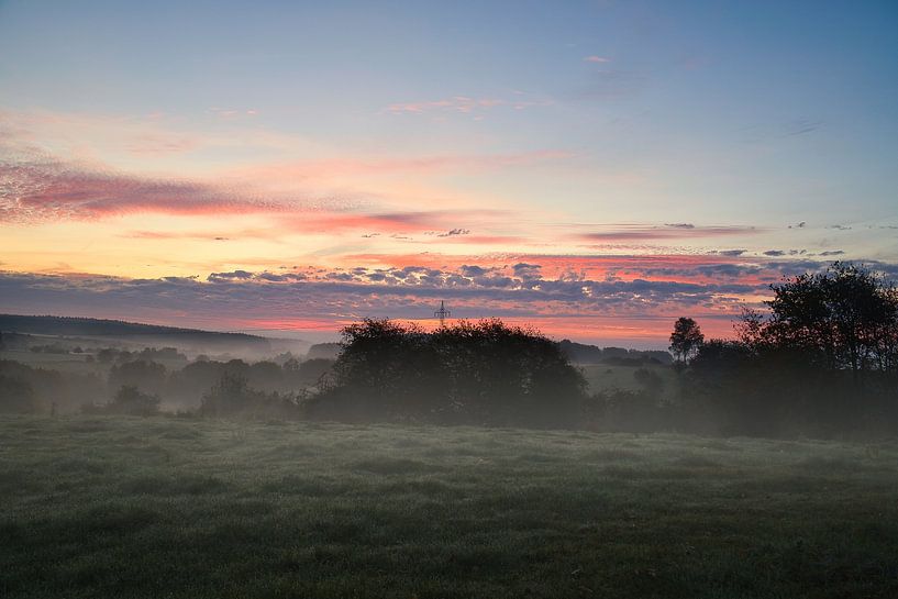 Boom in een weiland in de mist bij zonsopgang van Martin Köbsch