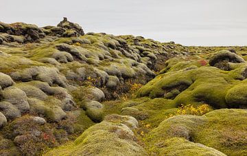 Vermooste Lavafelder (Island) von Marcel Kerdijk
