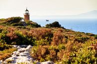 Zakynthos vuurtoren von Dennis van de Water Miniaturansicht