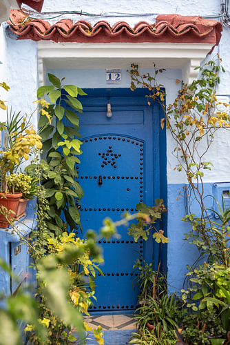 A blue Moroccan door amongst green plants