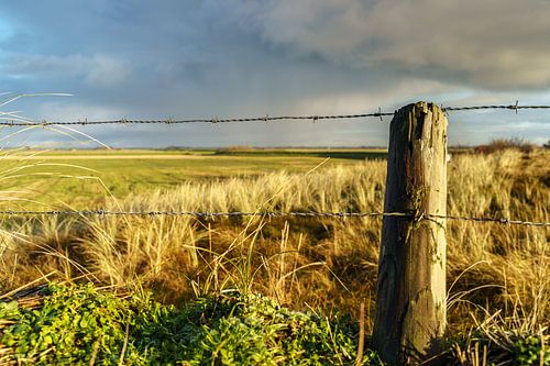 Waddeneiland landschap op Texel